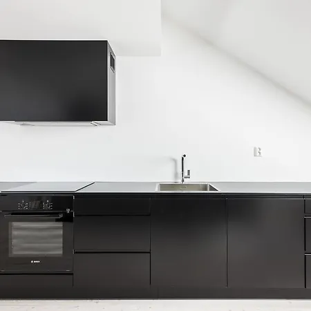 Daire Frogner House - Gruenerlokka *